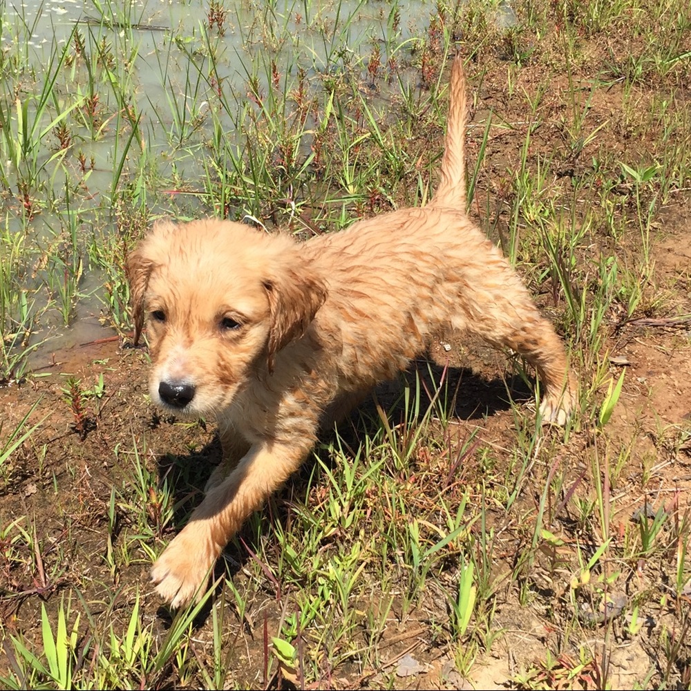 Meet your Posher, Lindsey